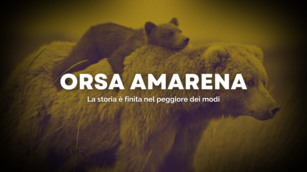 L’uccisione di Amarena e il difficile rapporto&nbsp;orso-uomo